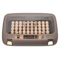 Инкубатор HHD 50 автоматический c универсальным поддоном для куриных, перепелиных, утиных, гусиных яиц