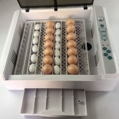 Инкубатор HHD 36 автоматический для яиц с овоскопом