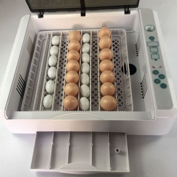 Инкубатор HHD 36 автоматический для яиц с овоскопом