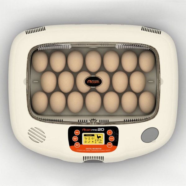 Инкубатор Rcom 20 PRO автоматический для яиц