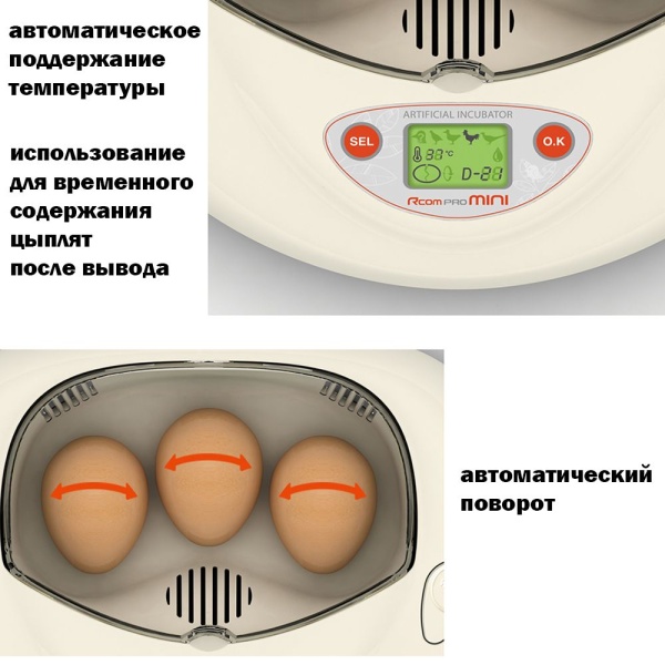 Инкубатор Rcom Mini автоматический для яиц с овоскопом