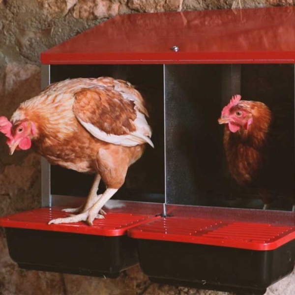 Гнездо для кур несушек Copele Platinum, 3 секции, с яйцесборником