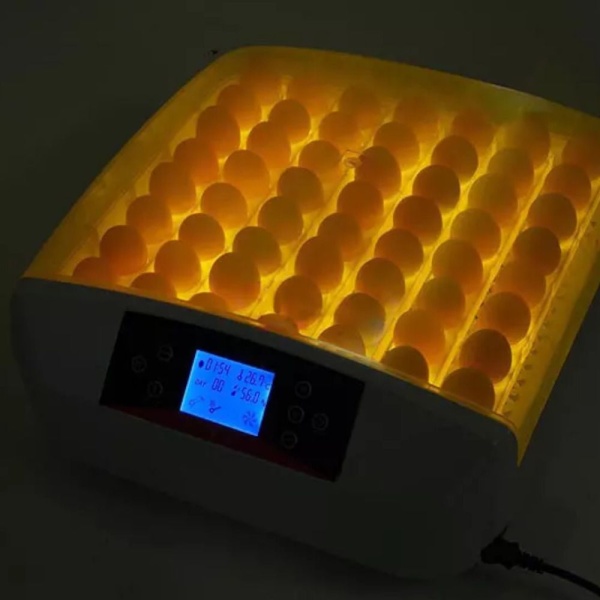 Инкубатор HHD 56 автоматический для яиц с овоскопом