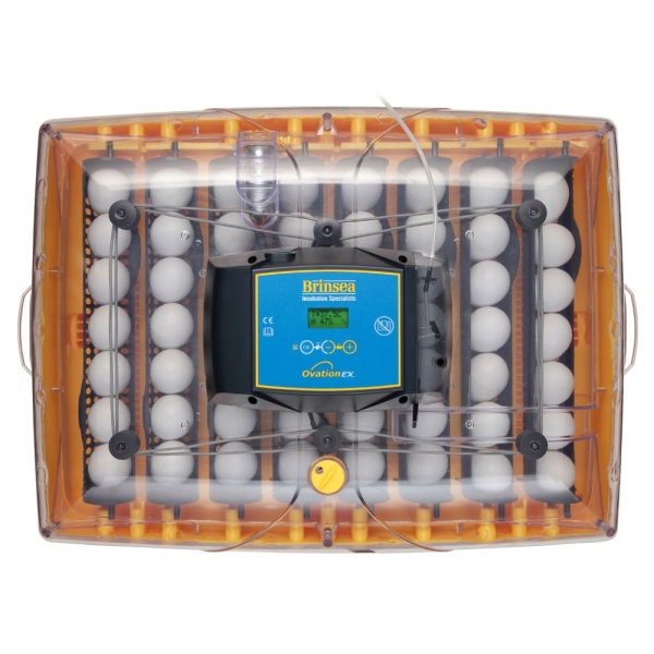 Инкубатор Brinsea Ovation EX 56 автоматический для яиц