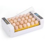 Инкубатор HHD 24 автоматический для яиц