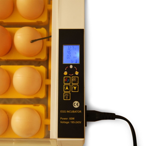 Инкубатор HHD 24 автоматический для яиц с овоскопом